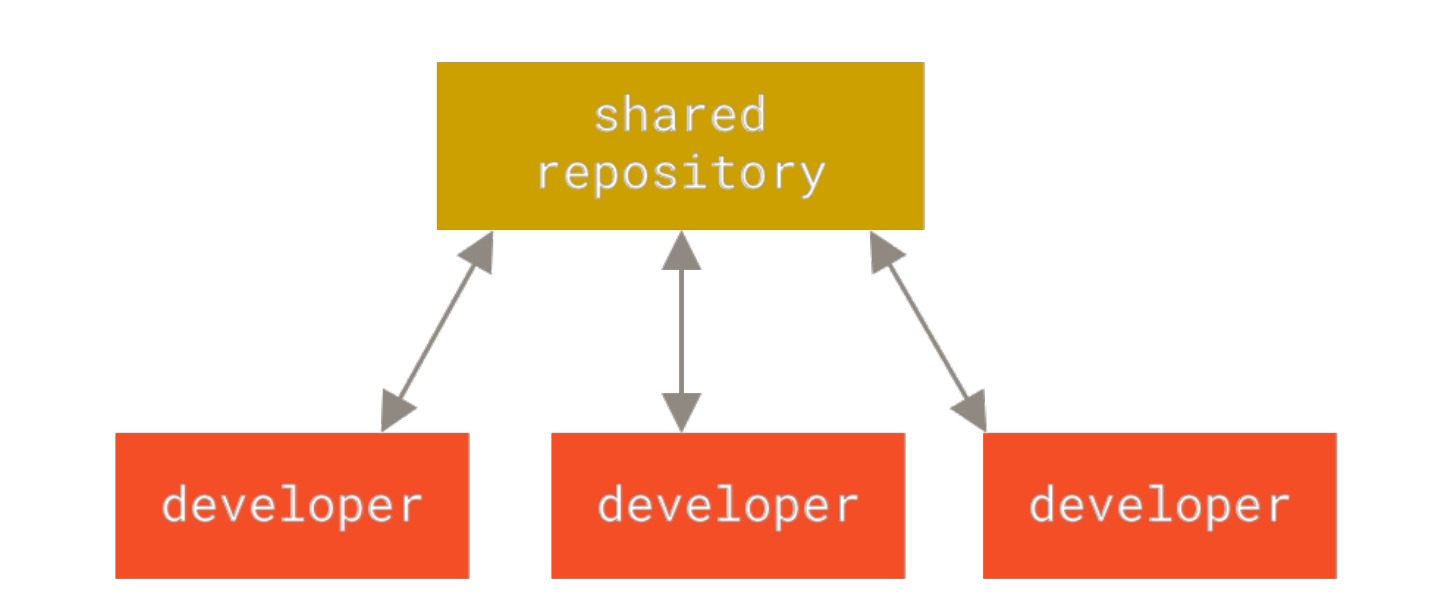 Centralized Version Control  Reference image